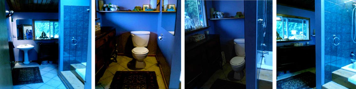 bathroom1